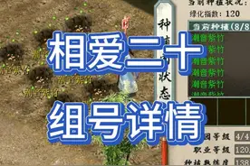 相爱二十 组号详情 #大话西游2 #大话西游2星河计划视频封面