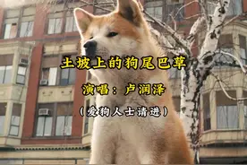 “土坡上狗尾巴草摇啊，摇得人眼泪掉”怎么会没有遗憾呢视频封面