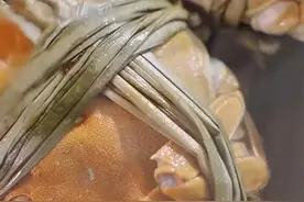 35岁女子怀孕3个月后馋嘴，连吃6只螃蟹致腹痛拉肚子流产视频封面
