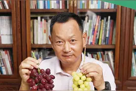 看的出来这两个品种是什么关系吗？#葡萄育种 #徐卫东  @DOU+小助手 视频封面