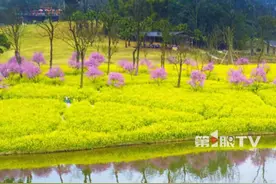 气温偏高，降水偏少！#今春重庆气候趋势预测出炉 ，预计重庆3-5月气温较常年同期偏高0.6℃，森林火险气象等级偏高。#重庆 #重庆天气 #重庆dou知道 #抖音精选计划视频封面