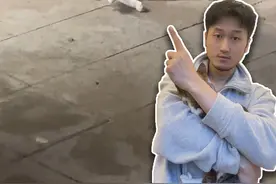 猫咪难产生不出怎么办？ 接生前必看 #猫咪难产 #接生小猫 #怀孕流浪猫 #救助流浪猫 #母猫生小猫视频封面
