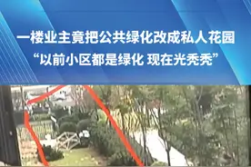一楼业主竟把公共绿化改成私人花园。“以前小区都是绿化，现在光秃秃。”下了整改通知书，迟迟没动静?#河南dou知道 #绿化 #小区视频封面