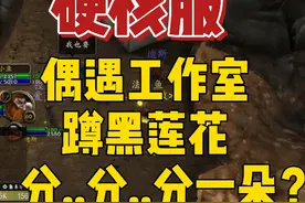 偶遇工作室蹲黑莲花，分.分..分一朵? #魔兽世界视频封面