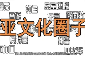 亚文化圈子的四个阶段，你的圈子是这样吗？#亚文化 #圈子视频封面