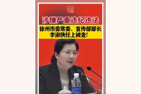 涉嫌严重违纪违法，徐州市委常委、宣传部部长李淑侠任上被查#江苏 #徐州 #反贪视频封面
