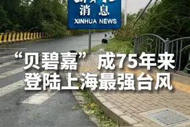 新华社消息｜“贝碧嘉”成75年来登陆上海最强台风视频封面