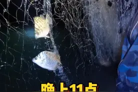 么哥晚上11点港内下网 么哥赶海抓鱼给海口回来的妹妹尝鲜，抓回来有好几种鱼！@抖音短视频 @抖音创作者中心 #大海的馈赠 #捕鱼 #海鲜美食 #2024新农人计划视频封面