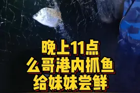 么哥晚上11点港内下网 么哥赶海抓鱼给海口回来的妹妹尝鲜，抓回来有好几种鱼！@抖音短视频 @抖音创作者中心 #大海的馈赠 #捕鱼 #海鲜美食 #2024新农人计划视频封面
