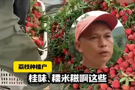 广东多地晚熟荔枝产量仅一成！晚熟桂味、糯米糍几乎“全军覆没” 桂味价格预计在每斤80元以上 来源：佛山新闻、新快报   #广东多地晚熟荔枝产量仅一成  #荔枝视频封面