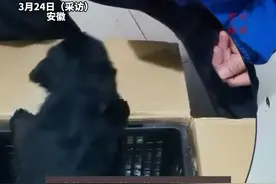 小狗遭遇买家拒收、卖家弃件，快递小哥：退不回去就养着了（来源：@@无🥂  ）#活物邮寄 #拒收 #狗狗 #快递小哥视频封面