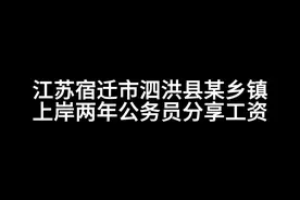 江苏宿迁市泗洪县某乡镇公务员分享工资视频封面