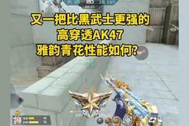 又一把比黑武士更强的高穿透AK47，雅韵青花性能如何？视频封面