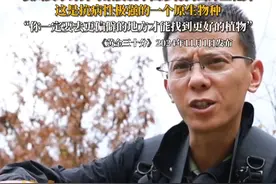 汶川父子在野外考察发现中国珍稀高山野生花卉，他说一定要去更偏僻的地方才能发现更好的植物视频封面