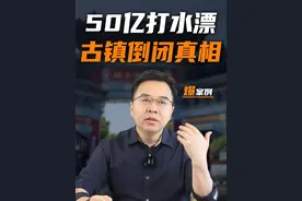 砸50亿建的古镇，竟然杂草丛生，成了空城！揭秘背后真相！ #古镇#桃花源古镇#旅游#金错刀视频封面