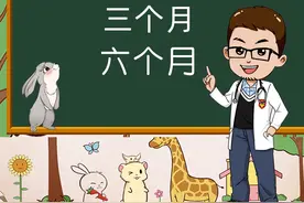 兔子几个月开始磨牙？几个月开始发情？几个月成年？#宠物兔