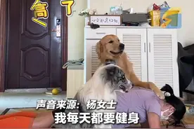 11月4日（采访），贵州贵阳。宠物爆改健身教练，狗狗指导平板支撑监督锻炼。#狗子 #狗子成精了视频封面
