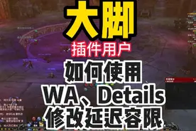 大脚插件用户如何使用WA、details和修改延迟容 不说了视频封面