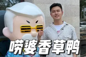 周董演唱会进入倒计时，还没想好怎么玩，哪好吃的一条视频攻略带你玩转三亚！#三亚美食  #唠婆香草鸭  #周杰伦 #专门从一个城市到另一个城市看演出挺酷的视频封面