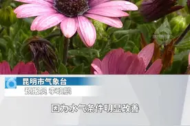 昆明2天后再迎阴雨天~ #天气  #降雨  #来春城凉一夏视频封面