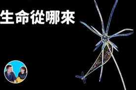 生命起源，地球上的生命究竟是如何产生的#脑洞大开 #未解之谜视频封面