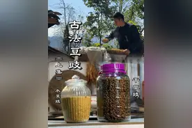 古人是怎么知道豆子这样能做成豆豉的？ 闻起来臭，吃起来却是香的豆豉，经历十日的光阴，其实也就简单几步就做好了 #豆豉 #农村美食 #乡村守护人 #记录真实生活 #新农人计划2024视频封面