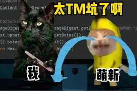 一个接口签名问题，开发被搞破防了！ #程序员 #编程 #猫meme视频封面