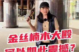惊叹大殿里全是一米多粗、十几米高的独根金丝楠木！“帝王之木”到底有牛在哪儿？#十三陵  #明朝  #金丝楠木  #旅游  #旅行大玩家视频封面