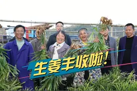 洞口村：党建引领促发展 强村富民产业兴 #党建引领乡村振兴视频封面