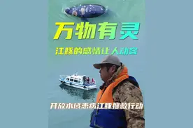 哪怕只有1%的希望，也要尽100%的努力！ 这条视频拍摄于两天前，当时我们一位老师记录下来了患病江豚的截至目前的最后影像，也记录到它的家人对他不离不弃，生死守望的感人一刻，令我久久难以忘怀，江豚作为长江顶级生命，他有着与我们相似的社会结构，家族关系和同伴间的感情。#人与自然 #江豚 #万物皆有灵性 @无穷小亮的科普日常视频封面
