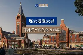 连云港灌云县：“隐秘”产业的亿万市场视频封面