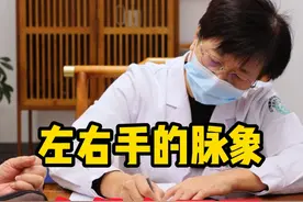 左右手的脉象有什么不同？ #中医 #医学科普 #硬核健康科普行动  #心血管专家董波