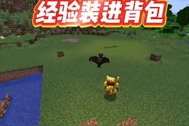 我的世界：经验存进背包，再也不会掉落了！ #我的世界 #MC