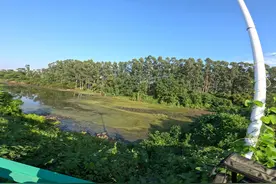 一起来茂名露天矿生态公园的大池塘观鸟吧！ 今天下午，带着视频封面