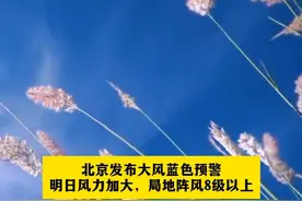 北京发布大风蓝色预警：明日风力加大，局地阵风8级以上视频封面