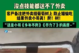 没点技能都送不了外卖，客户备注把外卖挂葡萄树上 防止猫偷吃，结果外卖小哥真！爬！树！“这是小哥《多年不爬》《尽力了》的高度~”#不一样的中国节气 #中国节气芒种篇视频封面