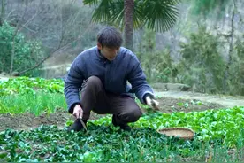 袅袅烟火中，即使一碗普通的炒面和一碗简单的清汤，也是平凡日子里的美好滋味。#农村美食 #炒面 #我的农村生活 #新农人计划2025视频封面