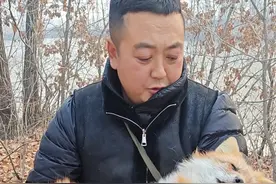 几天没回来就这样了，还坚持最后回到我这，但是我发现的晚了。 #热点 #人与动物和谐共处视频封面