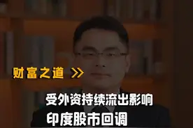 外资撤离，印度大幅回调？ #印度 #财经 #与财同行 #掘金计划2024视频封面