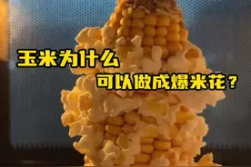 玉米可以制作爆米花，但你知道其中的原理吗？ #爆米花  #解压 #微观世界  #科普一下 #知识前沿派对视频封面