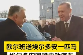 欧尔班送埃尔多安一匹马，埃尔多安回赠电动汽车视频封面