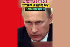 乌外交部：已有多国正式宣布准备向乌派军！已在制定实施细节视频封面