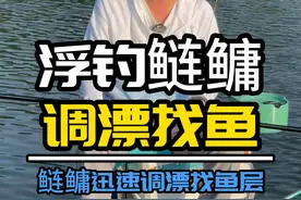 浮钓鲢鳙，调漂找鱼层方法分享，你知道20米深该钓几米吗 #钓鱼教学 #浮钓鲢鳙