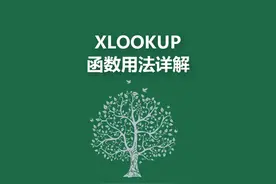 20250305-XLOOKUP函数用法详解 XLOOKUP函数用法详解#excel技巧视频封面