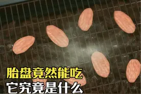 胎盘竟然能吃？这个所谓的“天然补品”并不简单！ #科普 #胎盘视频封面
