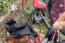 3月27日，广东东莞。女子下班发现#电动车上惊现一个蜂窝 蜂群密密麻麻聚在车篮下，和人头一般大，最后只能让专业人员处理掉。视频封面