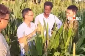 曾经淋过雨，想为别人撑把伞！卢旺达留学生在中国从硕士读到博士，学习农业技术，想做“非洲袁隆平”，让家乡人民吃的玉米越来越便宜。视频封面