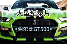 大型纪录片《谢尔比GT500》持续为您播出 #大型纪录片 #福特视频封面
