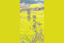 油菜花开，遇见“春天”。3月10日，安徽省旌德县汪村村岭下梯田的油菜花渐次开放，层层叠叠的梯田花海与散落其间的村庄、错落有致的远山相互映衬，构成了一道靓丽的风景线，吸引了众多游客前来赏花游玩。 江建兴 大皖新闻记者 江振焕视频封面