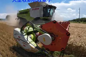 带你体验几百万大型收割机收割麦子，还是大的好操作开着带劲视频封面